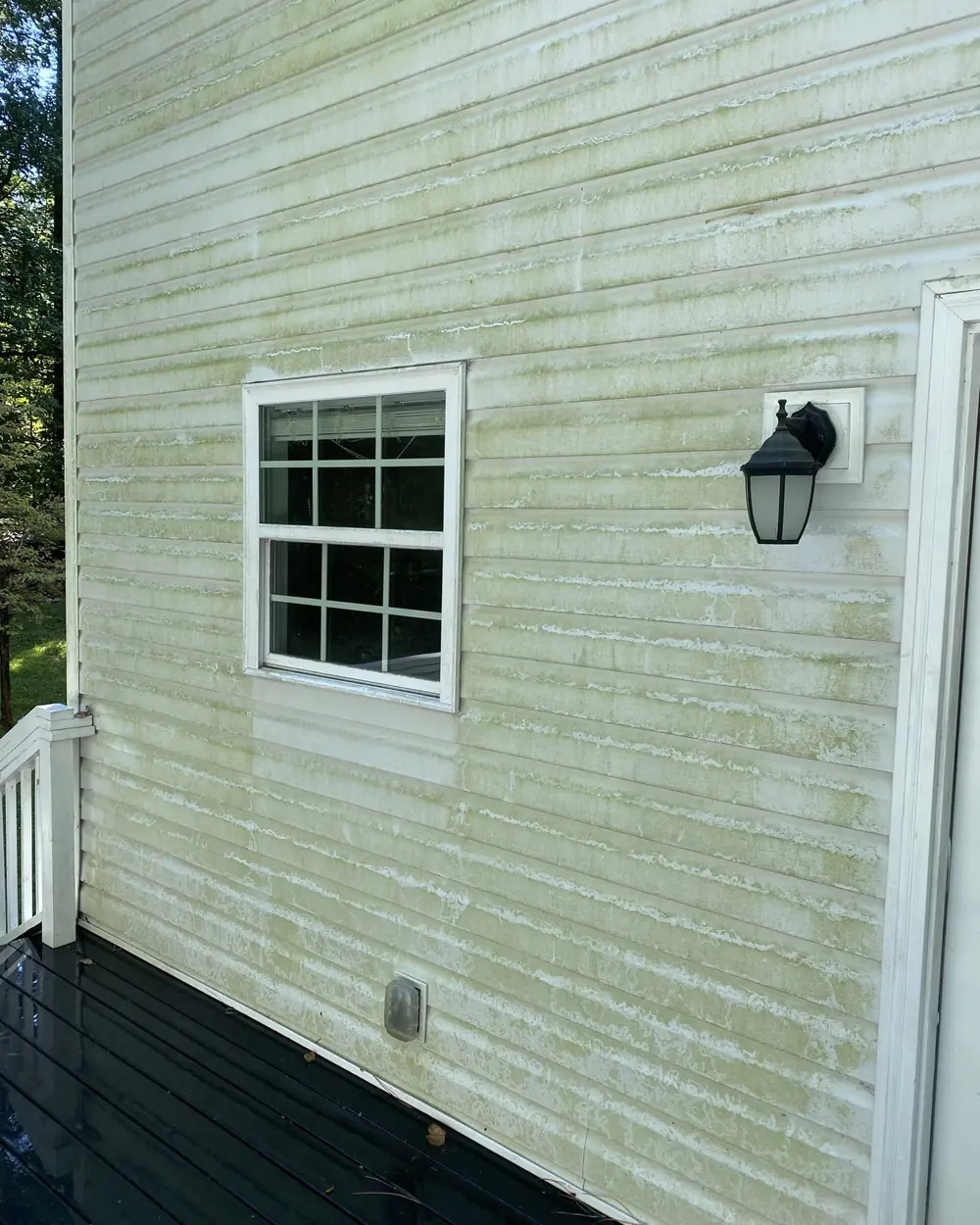 Vinyl siding covered in green mildew before washing